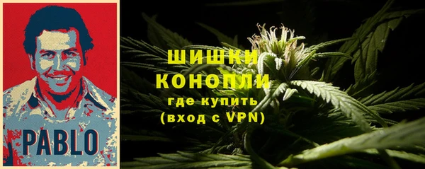 крисы Осинники