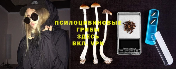 стафф Нягань