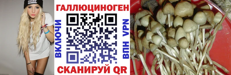 Купить где  Микунь  Галлюциногенные грибы Psilocybine cubensis 